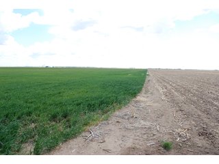 Property photo 9 - LAND AUCTION, 1958+/- Acres offered in 5 Tracts