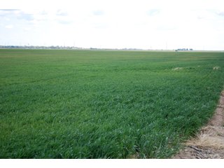 Property photo 11 - LAND AUCTION, 1958+/- Acres offered in 5 Tracts