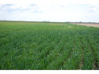 Property photo 10 - LAND AUCTION, 1958+/- Acres offered in 5 Tracts
