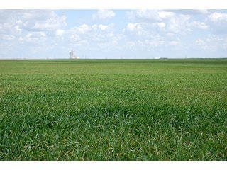 Property photo 1 - LAND AUCTION, 1958+/- Acres offered in 5 Tracts
