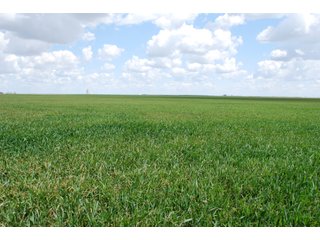 Property photo 7 - LAND AUCTION, 1958+/- Acres offered in 5 Tracts