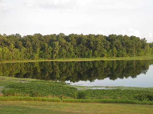 Property photo 82 - REAL ESTATE AUCTION, 163+/- Acres offered in 8 Tracts