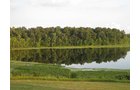 Property photo 82 - REAL ESTATE AUCTION, 163+/- Acres offered in 8 Tracts