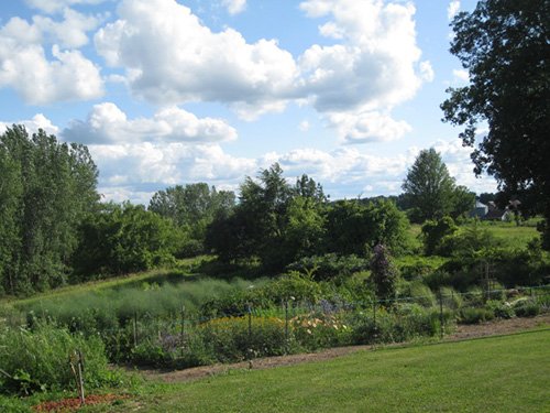 Property photo 127 - REAL ESTATE AUCTION, 163+/- Acres offered in 8 Tracts
