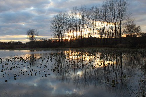Property photo 112 - REAL ESTATE AUCTION, 163+/- Acres offered in 8 Tracts