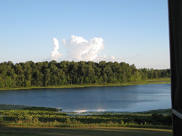 REAL ESTATE AUCTION, 163+/- Acres offered in 8 Tracts