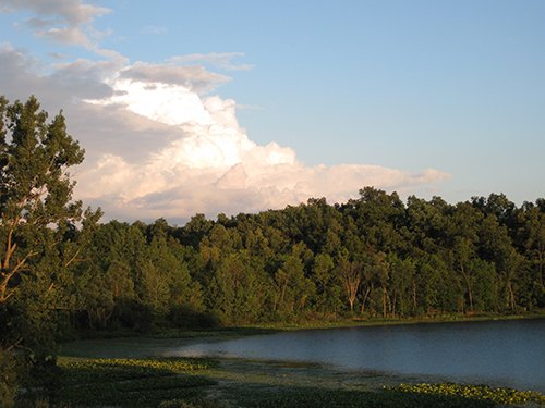 Property photo 90 - REAL ESTATE AUCTION, 163+/- Acres offered in 8 Tracts