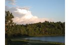 Property photo 90 - REAL ESTATE AUCTION, 163+/- Acres offered in 8 Tracts