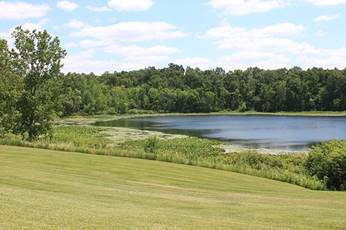 Property photo 92 - REAL ESTATE AUCTION, 163+/- Acres offered in 8 Tracts