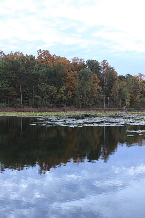 Property photo 61 - REAL ESTATE AUCTION, 163+/- Acres offered in 8 Tracts