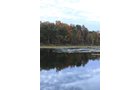 Property photo 61 - REAL ESTATE AUCTION, 163+/- Acres offered in 8 Tracts