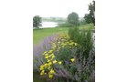 tract 3 - REAL ESTATE AUCTION, 163+/- Acres offered in 8 Tracts