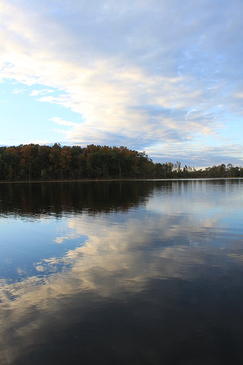 Property photo 59 - REAL ESTATE AUCTION, 163+/- Acres offered in 8 Tracts