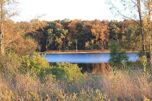tract 3 - REAL ESTATE AUCTION, 163+/- Acres offered in 8 Tracts