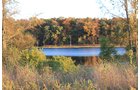 tract 3 - REAL ESTATE AUCTION, 163+/- Acres offered in 8 Tracts