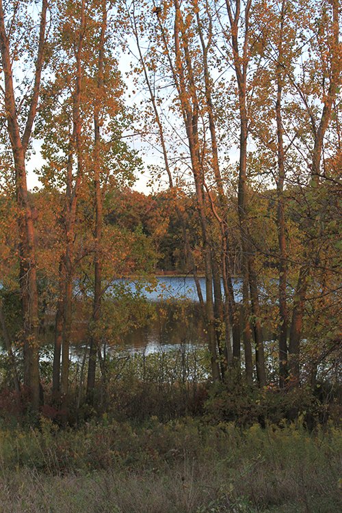 Property photo 94 - REAL ESTATE AUCTION, 163+/- Acres offered in 8 Tracts