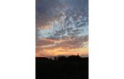Property photo 54 - REAL ESTATE AUCTION, 163+/- Acres offered in 8 Tracts