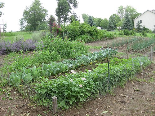 Property photo 29 - REAL ESTATE AUCTION, 163+/- Acres offered in 8 Tracts