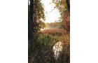 tract 5 - REAL ESTATE AUCTION, 163+/- Acres offered in 8 Tracts