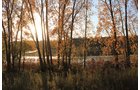 tract 5 - REAL ESTATE AUCTION, 163+/- Acres offered in 8 Tracts