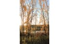 tract 5 - REAL ESTATE AUCTION, 163+/- Acres offered in 8 Tracts