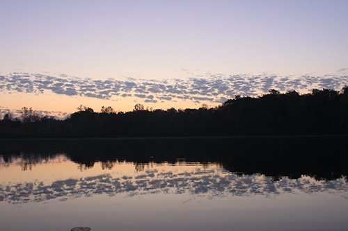 Property photo 39 - REAL ESTATE AUCTION, 163+/- Acres offered in 8 Tracts