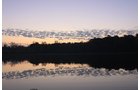 Property photo 39 - REAL ESTATE AUCTION, 163+/- Acres offered in 8 Tracts