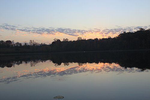 Property photo 41 - REAL ESTATE AUCTION, 163+/- Acres offered in 8 Tracts