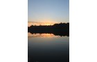 Property photo 73 - REAL ESTATE AUCTION, 163+/- Acres offered in 8 Tracts