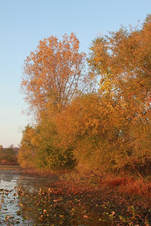 Property photo 21 - REAL ESTATE AUCTION, 163+/- Acres offered in 8 Tracts