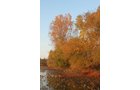 Property photo 21 - REAL ESTATE AUCTION, 163+/- Acres offered in 8 Tracts