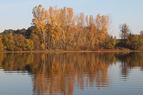 Property photo 99 - REAL ESTATE AUCTION, 163+/- Acres offered in 8 Tracts