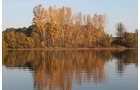 Property photo 99 - REAL ESTATE AUCTION, 163+/- Acres offered in 8 Tracts
