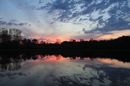 Property photo 43 - REAL ESTATE AUCTION, 163+/- Acres offered in 8 Tracts