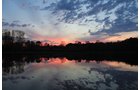 Property photo 43 - REAL ESTATE AUCTION, 163+/- Acres offered in 8 Tracts