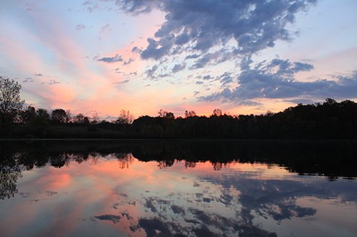 Property photo 35 - REAL ESTATE AUCTION, 163+/- Acres offered in 8 Tracts