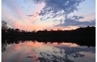 Property photo 35 - REAL ESTATE AUCTION, 163+/- Acres offered in 8 Tracts