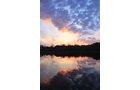 Property photo 45 - REAL ESTATE AUCTION, 163+/- Acres offered in 8 Tracts