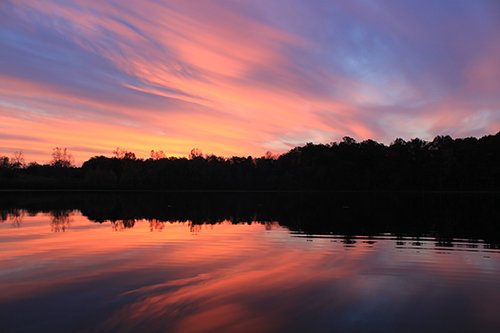 Property photo 70 - REAL ESTATE AUCTION, 163+/- Acres offered in 8 Tracts