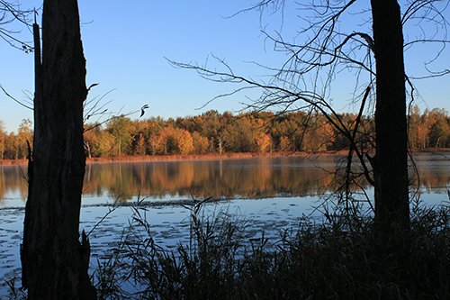 Property photo 124 - REAL ESTATE AUCTION, 163+/- Acres offered in 8 Tracts