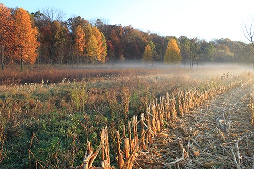 Property photo 23 - REAL ESTATE AUCTION, 163+/- Acres offered in 8 Tracts