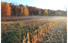 Property photo 23 - REAL ESTATE AUCTION, 163+/- Acres offered in 8 Tracts