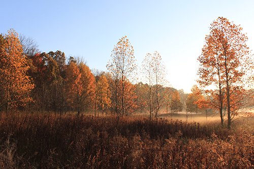 Property photo 75 - REAL ESTATE AUCTION, 163+/- Acres offered in 8 Tracts