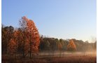 Property photo 49 - REAL ESTATE AUCTION, 163+/- Acres offered in 8 Tracts