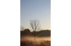 Property photo 53 - REAL ESTATE AUCTION, 163+/- Acres offered in 8 Tracts