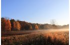 tract 6 - REAL ESTATE AUCTION, 163+/- Acres offered in 8 Tracts