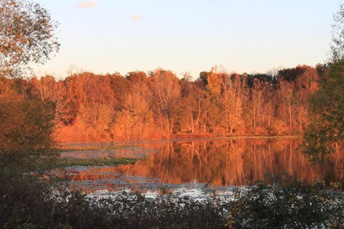 Property photo 32 - REAL ESTATE AUCTION, 163+/- Acres offered in 8 Tracts