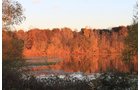 Property photo 32 - REAL ESTATE AUCTION, 163+/- Acres offered in 8 Tracts
