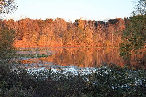 Property photo 26 - REAL ESTATE AUCTION, 163+/- Acres offered in 8 Tracts