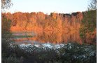 Property photo 26 - REAL ESTATE AUCTION, 163+/- Acres offered in 8 Tracts